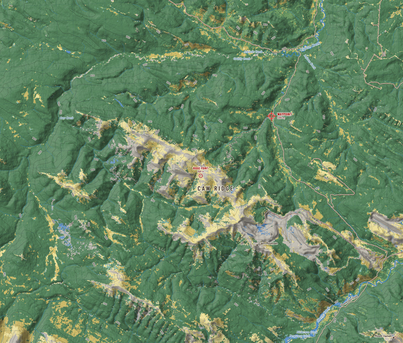 Caw Ridge: ground cover