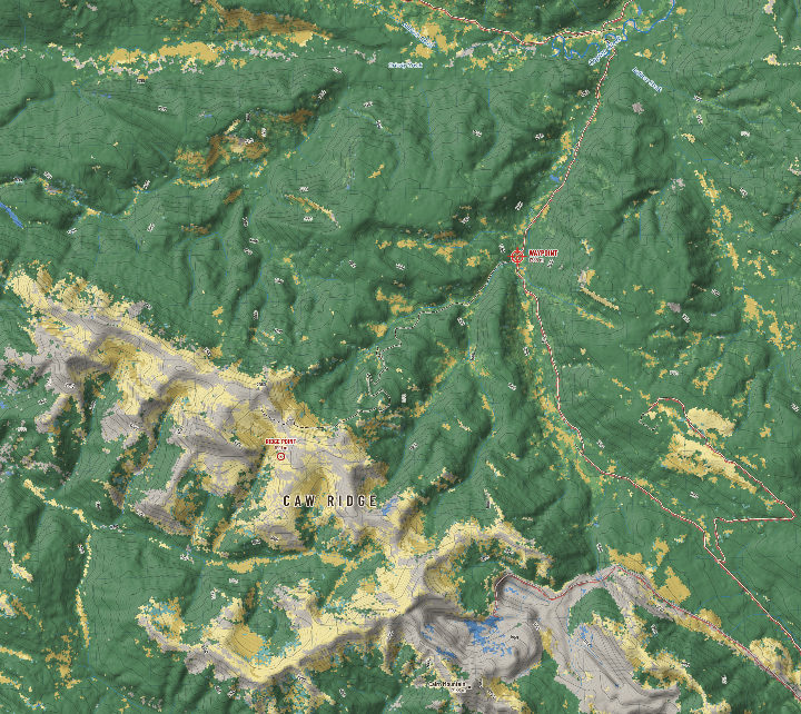 Waypoint and ridge: ground cover