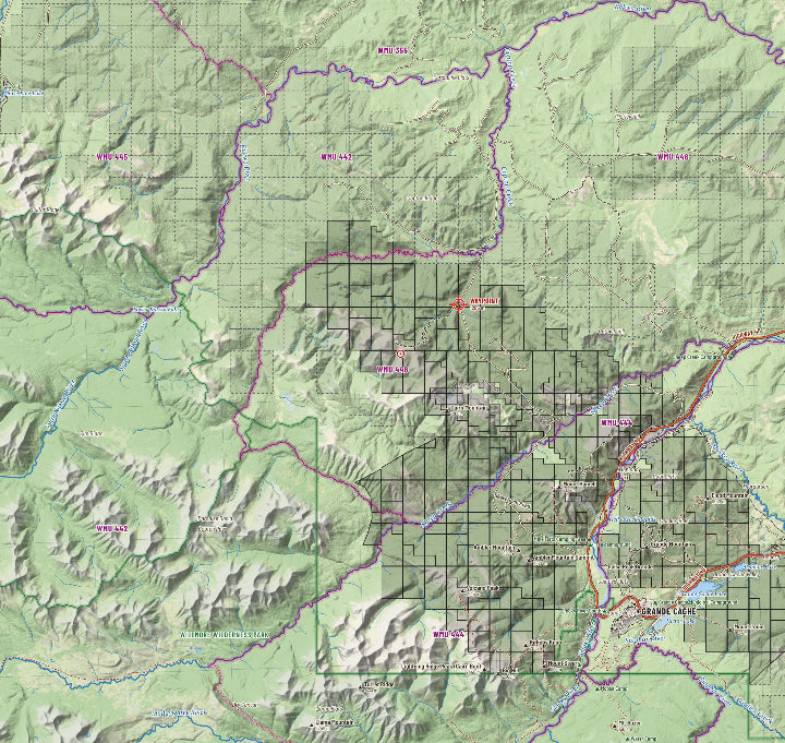 Coal leases and mine roads