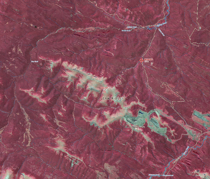 Caw Ridge in colour infrared