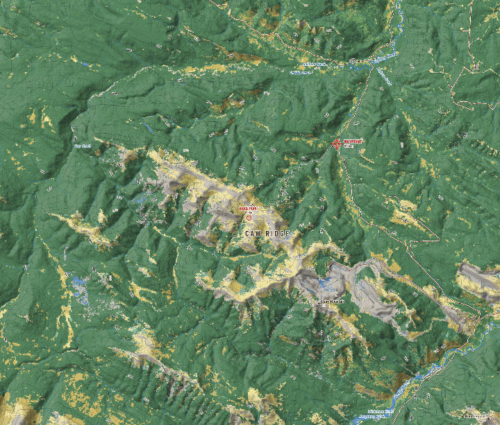 Caw Ridge: ground cover